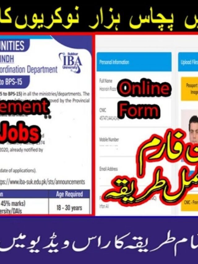 sindh govt jobs 2022 – sindh government jobs 2022 online apply
